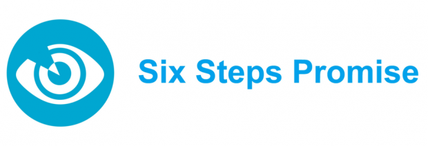 Logo for the Six Steps Promise