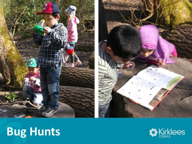 We find bugs living in our local woodland and open spaces then use our special magnifiers to see them up close and personal. Photo credit: Kirklees Libraries